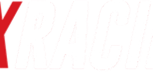 BLOX Racing 2020+ Tesla Model Y (10kg/mm Springs) Plus Series Pro Adjustable Front Coilovers Only