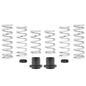 Eibach Pro-UTV 14-16 Polaris RZR XP 4 1000 EPS Stage 3 Performance Springs
