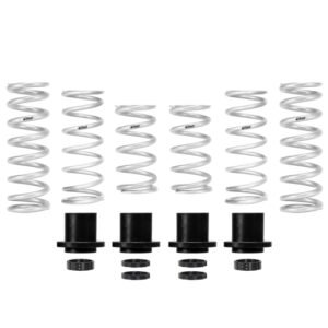 Eibach Pro-UTV 19-20 Polaris RZR XP 1000 Turbo 2-Seat Stage 3 HD Performance Spring System