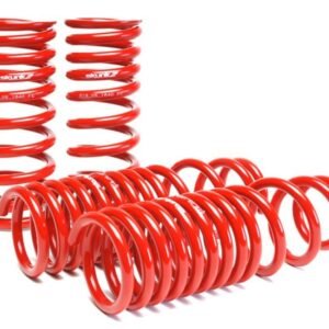 Skunk2 90-93 Acura Integra Lowering Springs (2.50in - 2.25in.) (Set of 4)