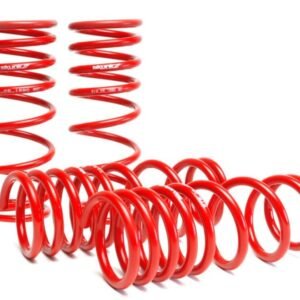 Skunk2 00-04 Honda S2000 Lowering Springs (2.00in. - 1.80in.) (Set of 4)