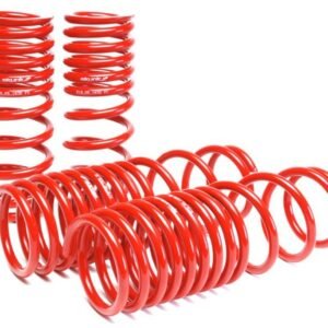 Skunk2 90-97 Honda Accord (All Models) Lowering Springs (2.00in. - 1.80in.) (Set of 4)