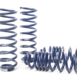 H&R 17-18 Mercedes-Benz E400 4MATIC Coupe/E400 Coupe C238 Sport Spring (Incl Agility Control) RW