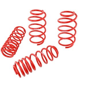 Skunk2 07-12 Honda Civic Type-R (FN2) Lowering Springs (Set of 4)