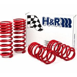 H&R 94-95 Ford Mustang/Mustang Cobra V8 Race Spring
